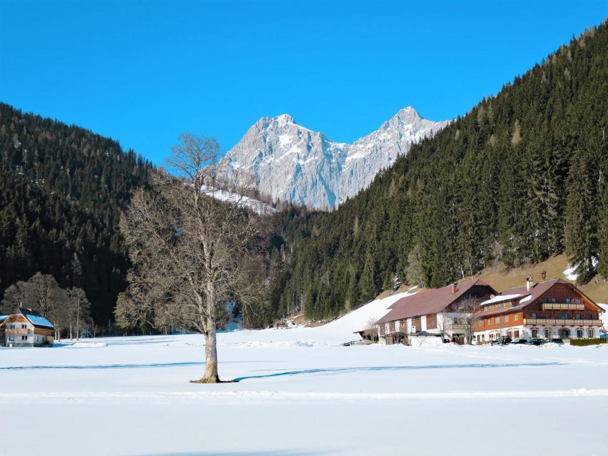 Apartment Annis Nest By Interhome Ramsau am Dachstein Exterior photo